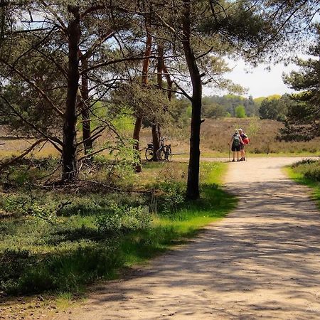Vakantiehuis In Een Prachtige Bosrijke Omgeving In Twente! Bornerbroek Dış mekan fotoğraf