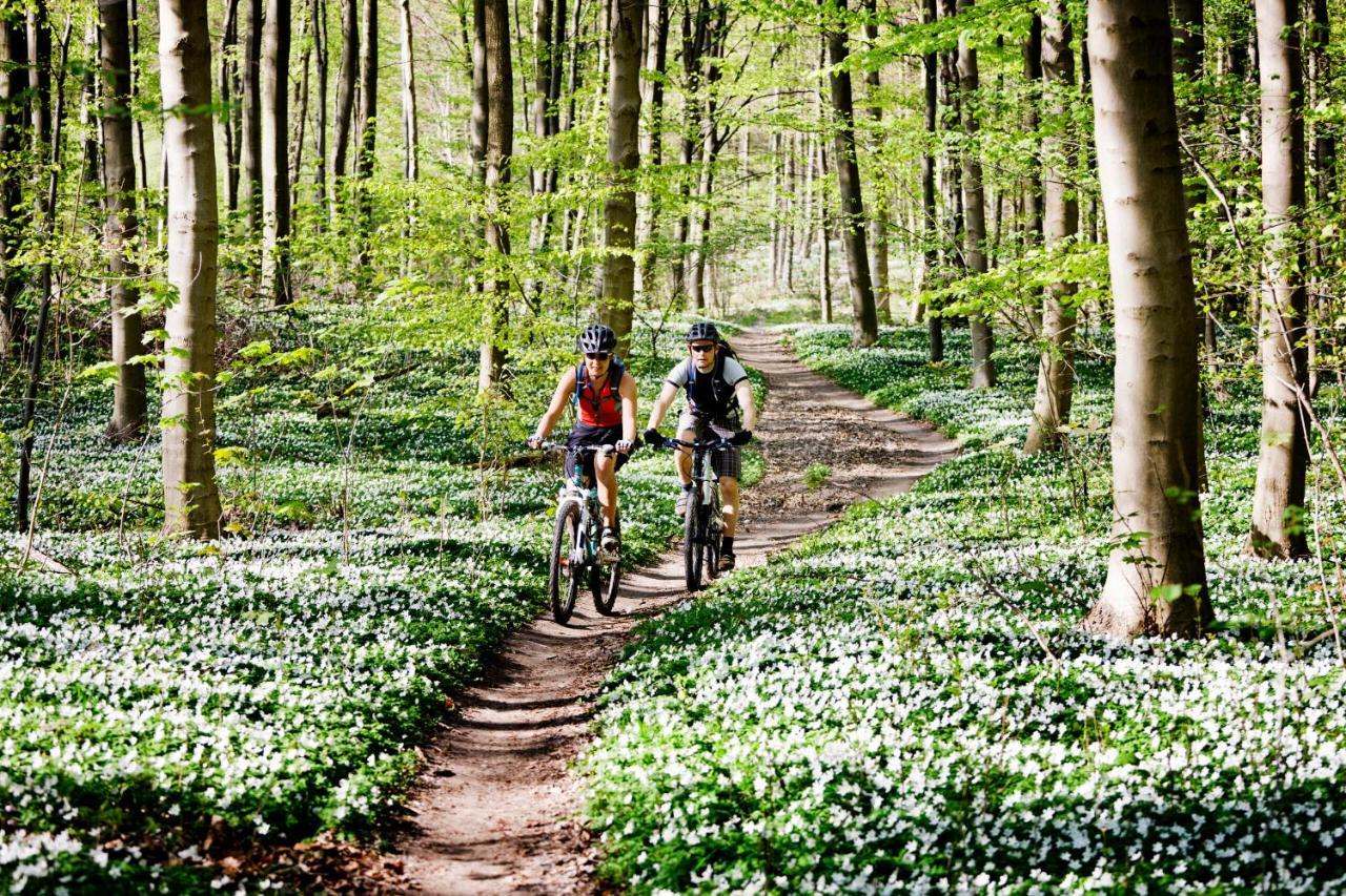 Vakantiehuis In Een Prachtige Bosrijke Omgeving In Twente! Bornerbroek Dış mekan fotoğraf