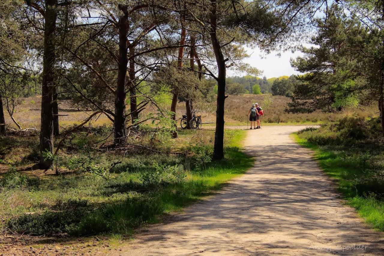 Vakantiehuis In Een Prachtige Bosrijke Omgeving In Twente! Bornerbroek Dış mekan fotoğraf